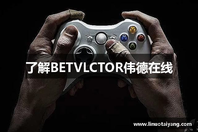 了解BETVLCTOR伟德在线
